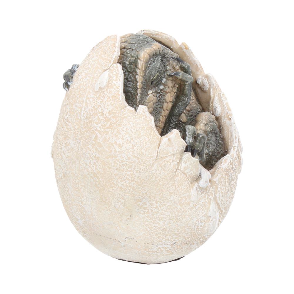 Wyrmlings Dragon Egg First Light 12cm